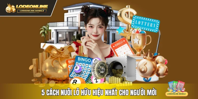 5 cách nuôi lô hữu hiệu nhất cho người mới