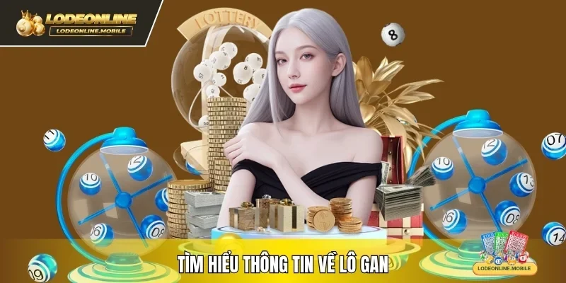Tìm hiểu thông tin về lô gan