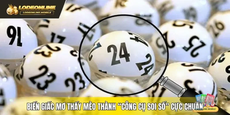 Biến giấc mơ thấy mèo thành “công cụ soi số” cực chuẩn