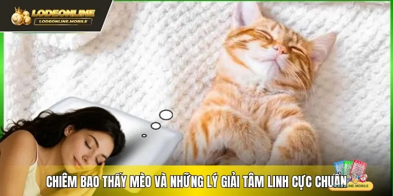 Chiêm bao thấy mèo và những lý giải tâm linh cực chuẩn