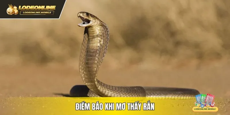 Điềm báo khi mơ thấy rắn