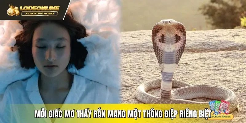 Mỗi giấc mơ thấy rắn mang một thông điệp riêng biệt