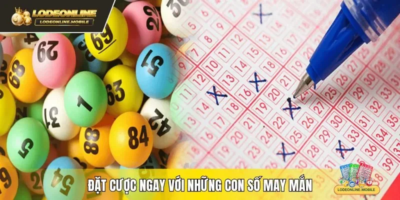 Đặt cược ngay với những con số may mắn