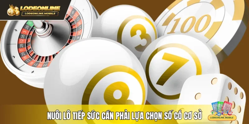 Nuôi lô tiếp sức cần phải lựa chọn số có cơ sở