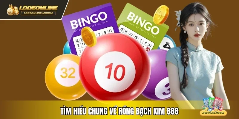 Tìm hiểu chung về rồng bạch kim 888