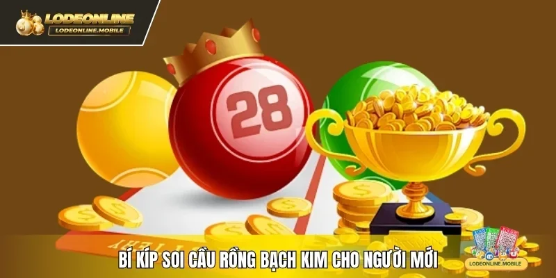Bí kíp soi Cầu Rồng Bạch Kim cho người mới