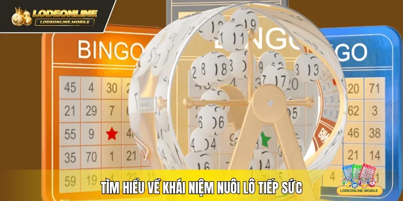 Tìm hiểu về khái niệm nuôi lô tiếp sức