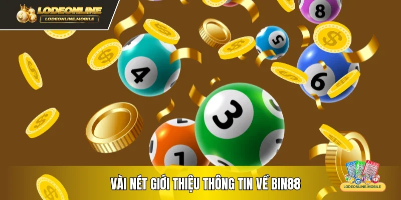 Vài nét giới thiệu thông tin về BIN88
