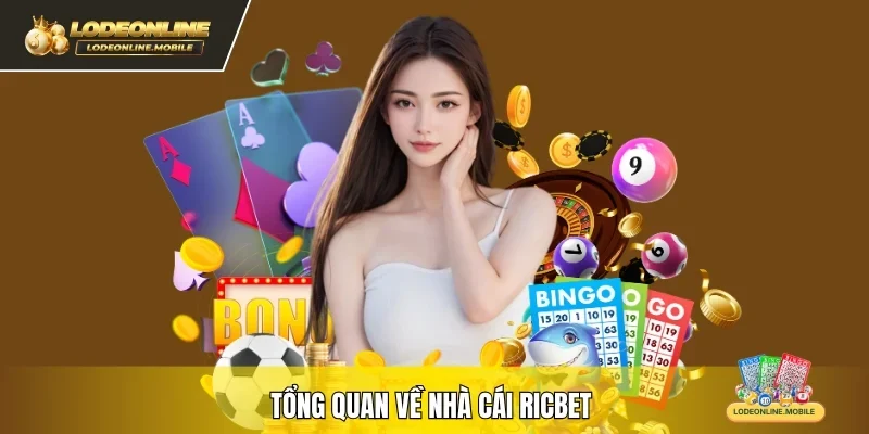 Tổng quan về nhà cái VIN88